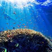 ヒメ日記 2025/07/05 22:42 投稿 さくら　有紀(さくら　ゆき) 夢(姫路)