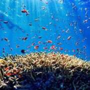 ヒメ日記 2025/08/16 06:12 投稿 さくら　有紀(さくら　ゆき) 夢(姫路)