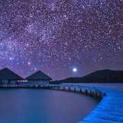 ヒメ日記 2025/08/30 22:42 投稿 さくら　有紀(さくら　ゆき) 夢(姫路)