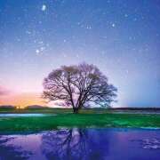 ヒメ日記 2025/09/07 06:58 投稿 さくら　有紀(さくら　ゆき) 夢(姫路)