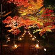 ヒメ日記 2025/09/27 06:36 投稿 さくら　有紀(さくら　ゆき) 夢(姫路)