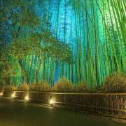 ヒメ日記 2025/09/27 22:30 投稿 さくら　有紀(さくら　ゆき) 夢(姫路)