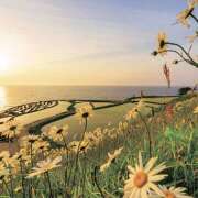 ヒメ日記 2025/10/06 23:10 投稿 さくら　有紀(さくら　ゆき) 夢(姫路)