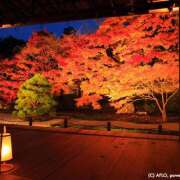 ヒメ日記 2025/10/14 05:50 投稿 さくら　有紀(さくら　ゆき) 夢(姫路)