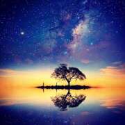 ヒメ日記 2025/11/24 23:36 投稿 さくら　有紀(さくら　ゆき) 夢(姫路)