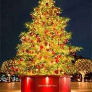 ヒメ日記 2025/11/30 10:52 投稿 さくら　有紀(さくら　ゆき) 夢(姫路)