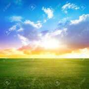 ヒメ日記 2026/01/14 00:48 投稿 さくら　有紀(さくら　ゆき) 夢(姫路)