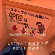 ヒメ日記 2026/03/29 15:52 投稿 高嶺さくら ニューハーフヘルスLIBE大阪梅田店