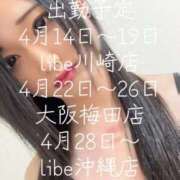 高嶺さくら 出勤予定！ ニューハーフヘルスLIBE大阪梅田店