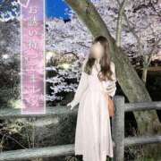 ヒメ日記 2025/04/01 07:53 投稿 柴崎　れんか 厚木OL委員会