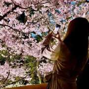 ヒメ日記 2025/04/02 20:53 投稿 柴崎　れんか 厚木OL委員会