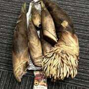 ヒメ日記 2025/05/24 20:53 投稿 柴崎　れんか 厚木OL委員会