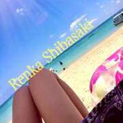 ヒメ日記 2025/08/17 18:23 投稿 柴崎　れんか 厚木OL委員会