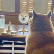 ヒメ日記 2026/01/11 16:23 投稿 柴崎　れんか 厚木OL委員会