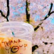 ヒメ日記 2025/04/03 08:03 投稿 りょう 妻天 京橋店