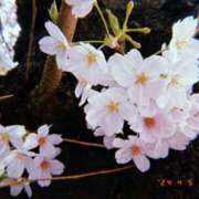 あゆか 桜の咲く頃と言いま デリバリーヘルス埼玉人妻