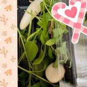 ヒメ日記 2025/01/08 11:12 投稿 谷口 モアグループ所沢人妻城