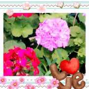 ヒメ日記 2025/03/03 22:27 投稿 谷口 モアグループ所沢人妻城