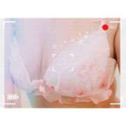 ヒメ日記 2025/06/03 07:51 投稿 谷口 モアグループ所沢人妻城