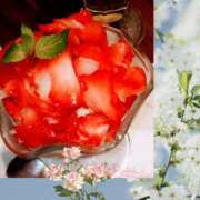 ヒメ日記 2025/06/11 11:33 投稿 谷口 モアグループ所沢人妻城