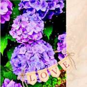 ヒメ日記 2025/06/24 22:42 投稿 谷口 モアグループ所沢人妻城