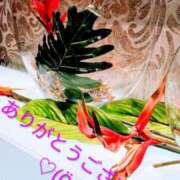 ヒメ日記 2025/07/25 23:42 投稿 谷口 モアグループ所沢人妻城