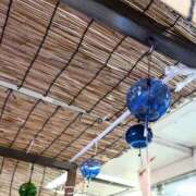 ヒメ日記 2025/08/27 13:12 投稿 谷口 モアグループ所沢人妻城