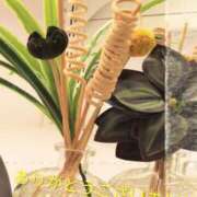 ヒメ日記 2025/09/09 21:33 投稿 谷口 モアグループ所沢人妻城