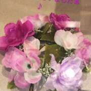 ヒメ日記 2026/01/16 23:21 投稿 谷口 モアグループ所沢人妻城