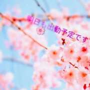 ヒメ日記 2026/03/08 10:27 投稿 谷口 モアグループ所沢人妻城