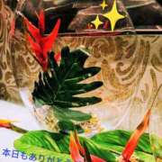 ヒメ日記 2026/04/03 23:48 投稿 谷口 モアグループ所沢人妻城