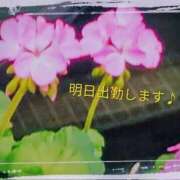 ヒメ日記 2026/10/09 10:09 投稿 谷口 モアグループ所沢人妻城