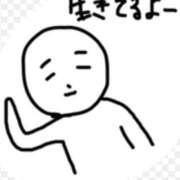 ヒメ日記 2025/03/29 10:36 投稿 矢沢　さよ 京都ホットポイント