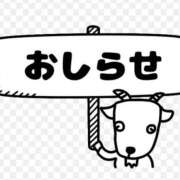 ヒメ日記 2025/04/13 10:52 投稿 矢沢　さよ 京都ホットポイント