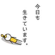 ヒメ日記 2025/05/08 06:36 投稿 矢沢　さよ 京都ホットポイント