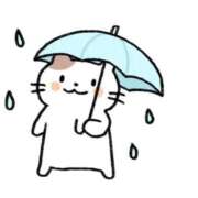 ヒメ日記 2025/05/17 06:32 投稿 矢沢　さよ 京都ホットポイント