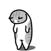 ヒメ日記 2025/05/22 06:58 投稿 矢沢　さよ 京都ホットポイント