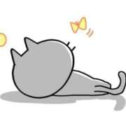 ヒメ日記 2025/05/31 06:39 投稿 矢沢　さよ 京都ホットポイント