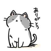 ヒメ日記 2025/07/19 08:24 投稿 矢沢　さよ 京都ホットポイント