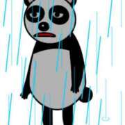 ヒメ日記 2025/08/17 10:05 投稿 矢沢　さよ 京都ホットポイント