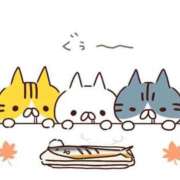 ヒメ日記 2025/10/13 07:53 投稿 矢沢　さよ 京都ホットポイント