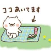 ヒメ日記 2026/02/10 12:06 投稿 矢沢　さよ 京都ホットポイント