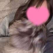 ヒメ日記 2025/02/25 21:43 投稿 唐沢ひめの 京都ホットポイント