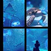 ヒメ日記 2025/03/16 00:30 投稿 唐沢ひめの 京都ホットポイント