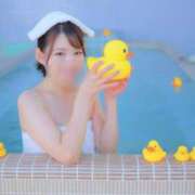 ヒメ日記 2025/03/17 00:45 投稿 唐沢ひめの 京都ホットポイント