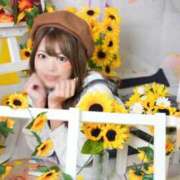 ヒメ日記 2025/03/20 15:02 投稿 唐沢ひめの 京都ホットポイント