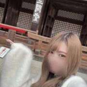 ヒメ日記 2025/03/24 11:01 投稿 唐沢ひめの 京都ホットポイント