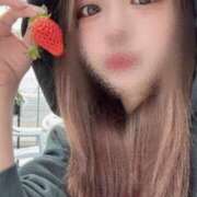 ヒメ日記 2025/04/01 09:19 投稿 唐沢ひめの 京都ホットポイント