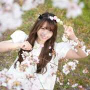 ヒメ日記 2025/04/06 21:15 投稿 唐沢ひめの 京都ホットポイント