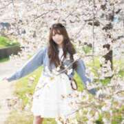 ヒメ日記 2025/04/11 11:18 投稿 唐沢ひめの 京都ホットポイント